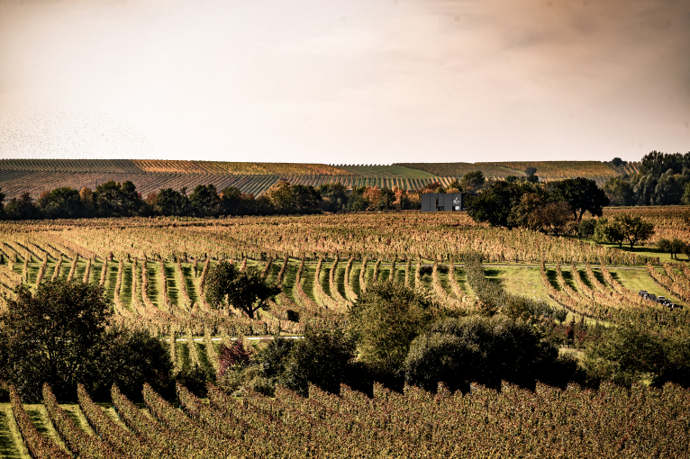 Mittelburgenland