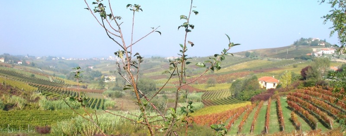Monferrato.jpg