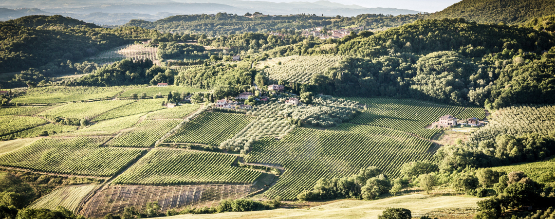 Montepulciano