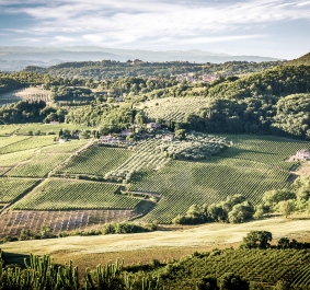 Montepulciano