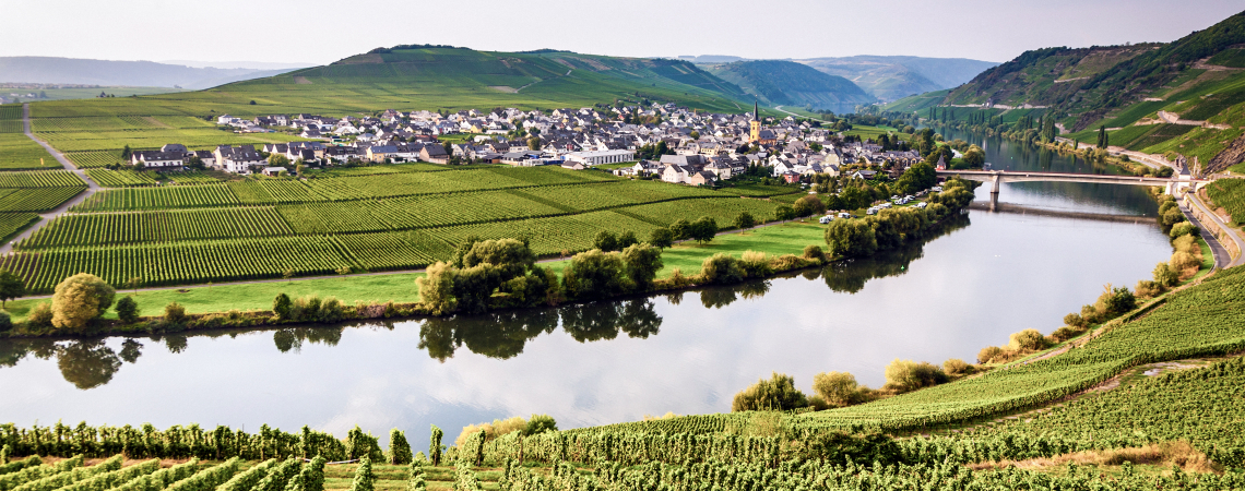 Mosel.jpg