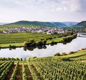 Mosel.jpg