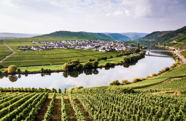 Panorama einer idyllischen Weinlandschaft am Fluss, umgeben von grünen Hügeln und Dörfern.
