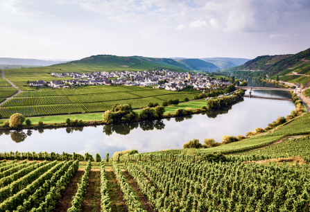Panorama einer idyllischen Weinlandschaft am Fluss, umgeben von grünen Hügeln und Dörfern.