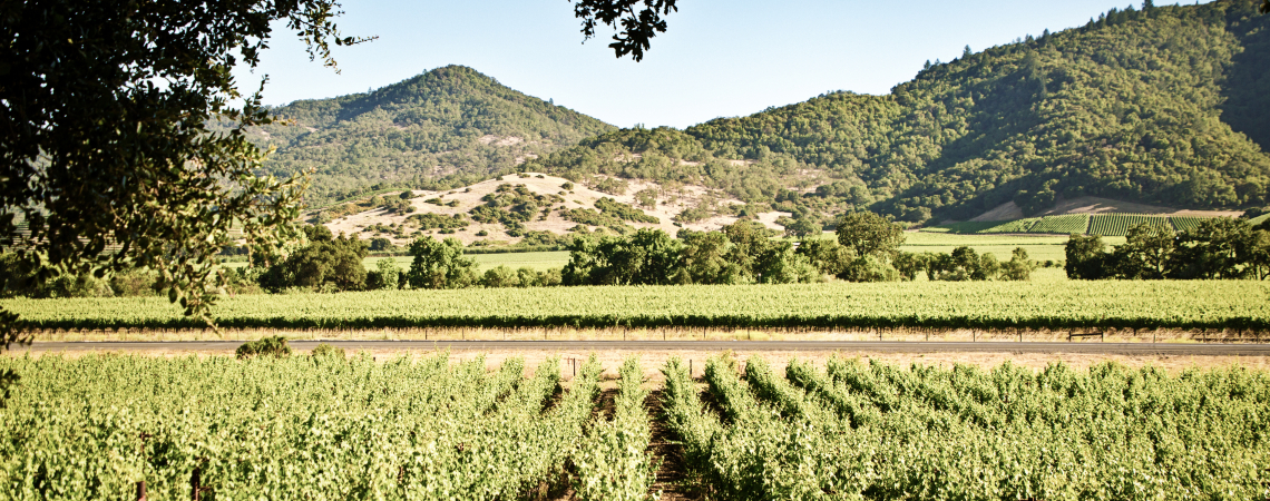 Napa-Valley.jpg