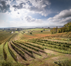 Neusiedlersee