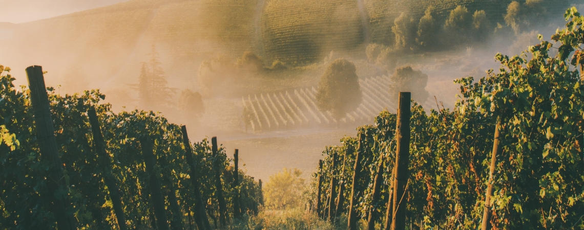 Piemont.jpg