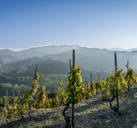 Priorat.jpg