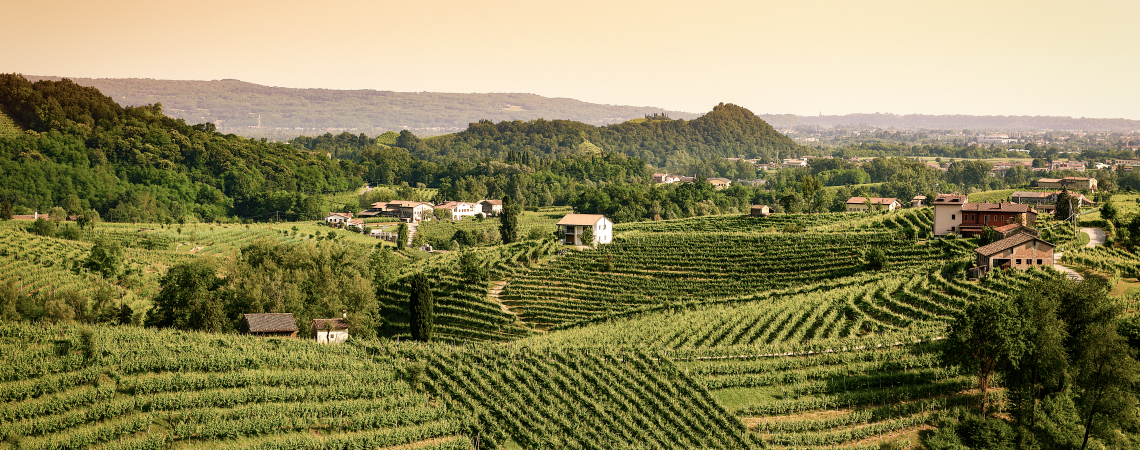Prosecco