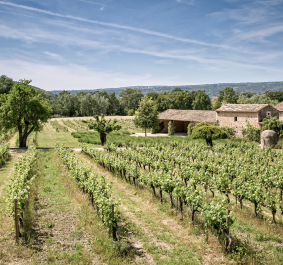 Provence.jpg
