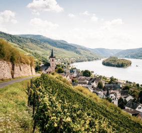 Rheingau.jpg