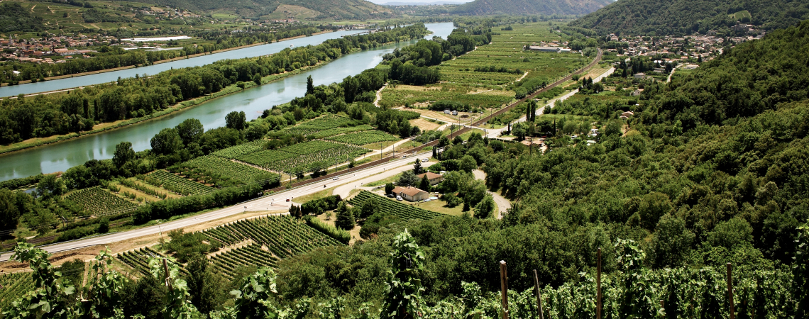 Rhone2