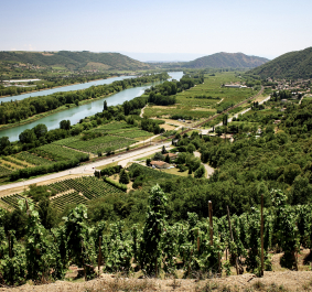 Rhone2