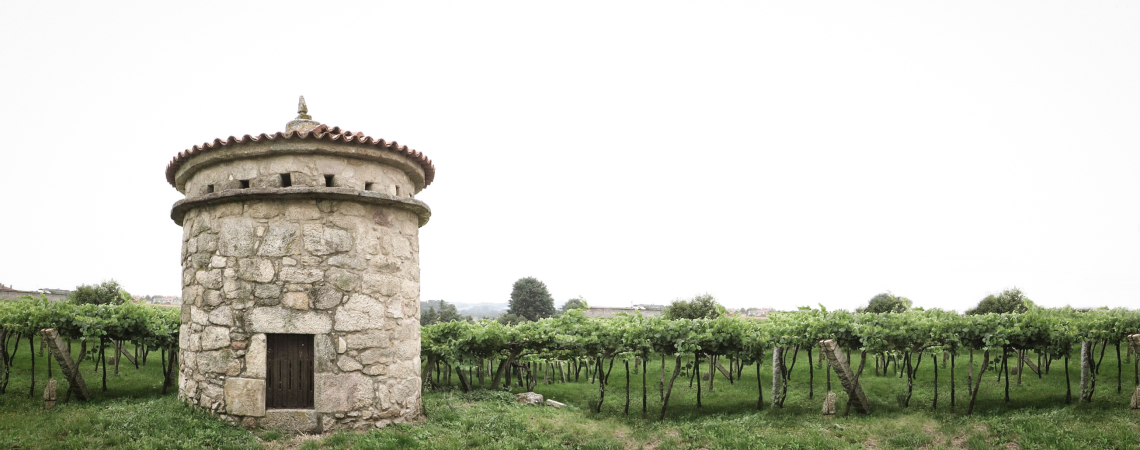 Rias-Baixas.jpg