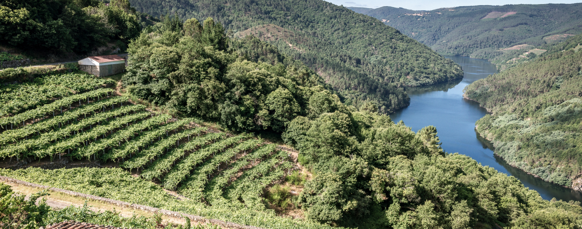 Ribeira Sacra
