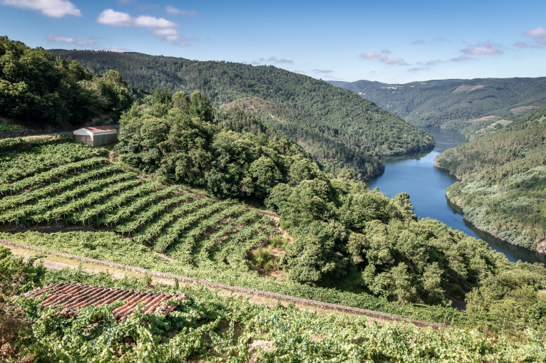 Ribeira Sacra