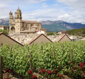 Rioja.jpg
