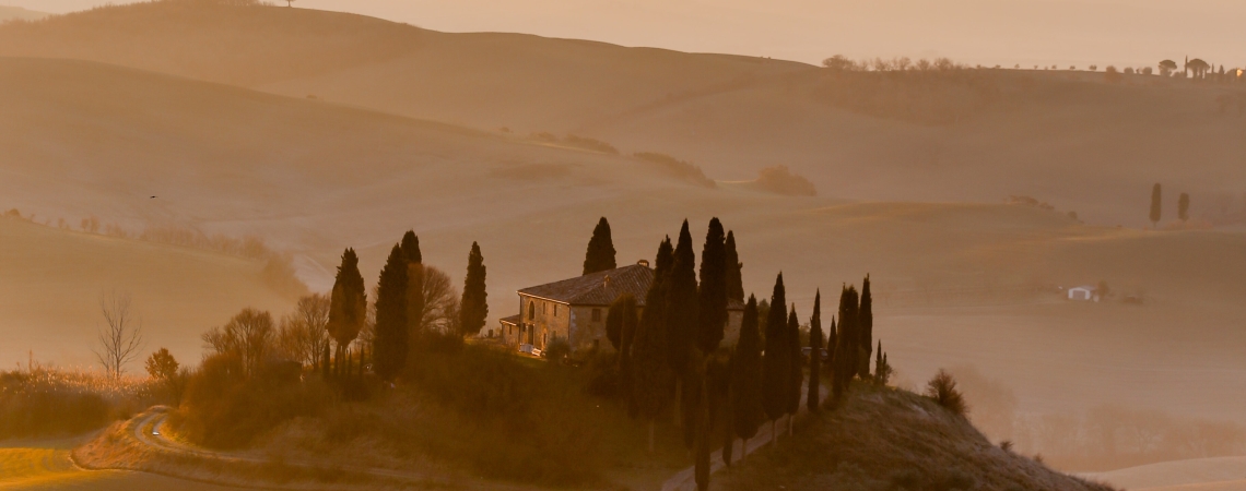 Rosso di Montalcino