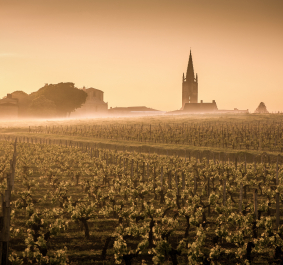 Saint Emilion