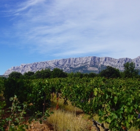 Weinberge mit Bergkulisse unter klarem, weitläufigem Himmel.