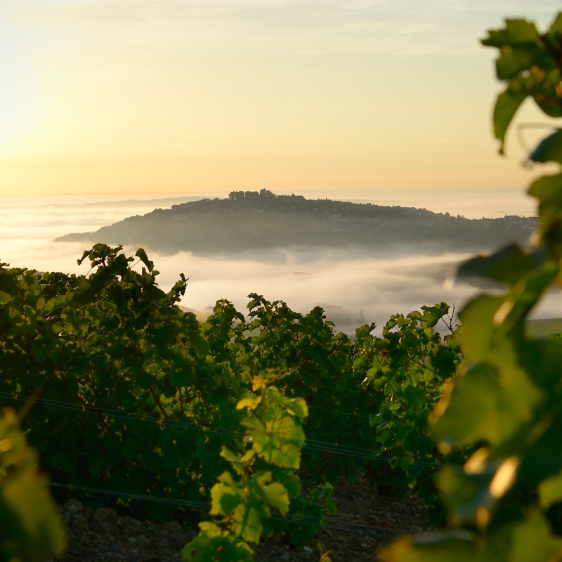 Sancerre 3neu