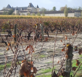 Sauternes.jpg