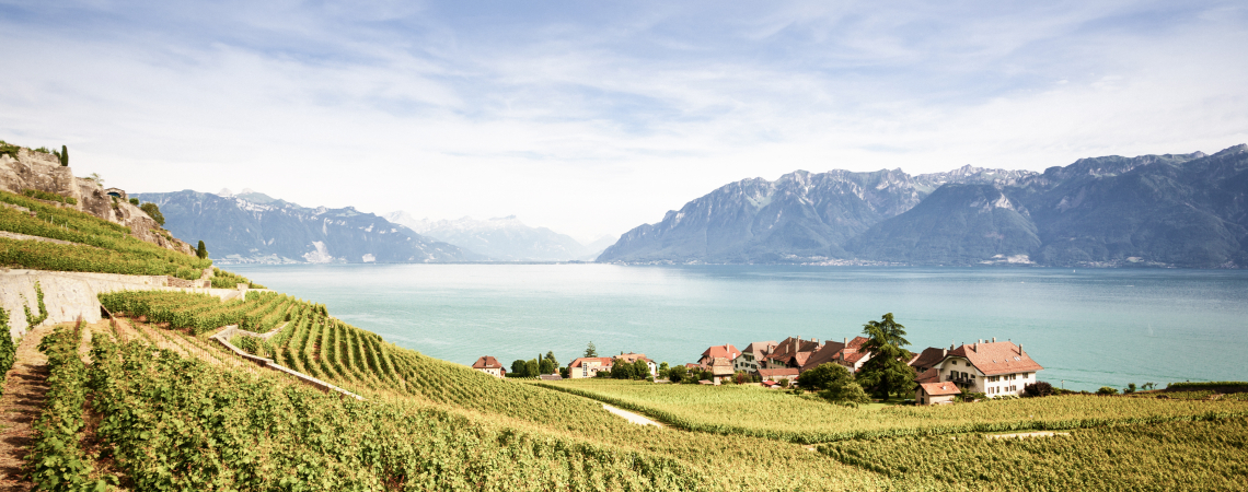 Schweiz.jpg