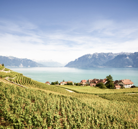 Schweiz.jpg