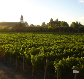 SherryRutadelVino.jpg