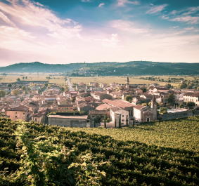 Soave.jpg