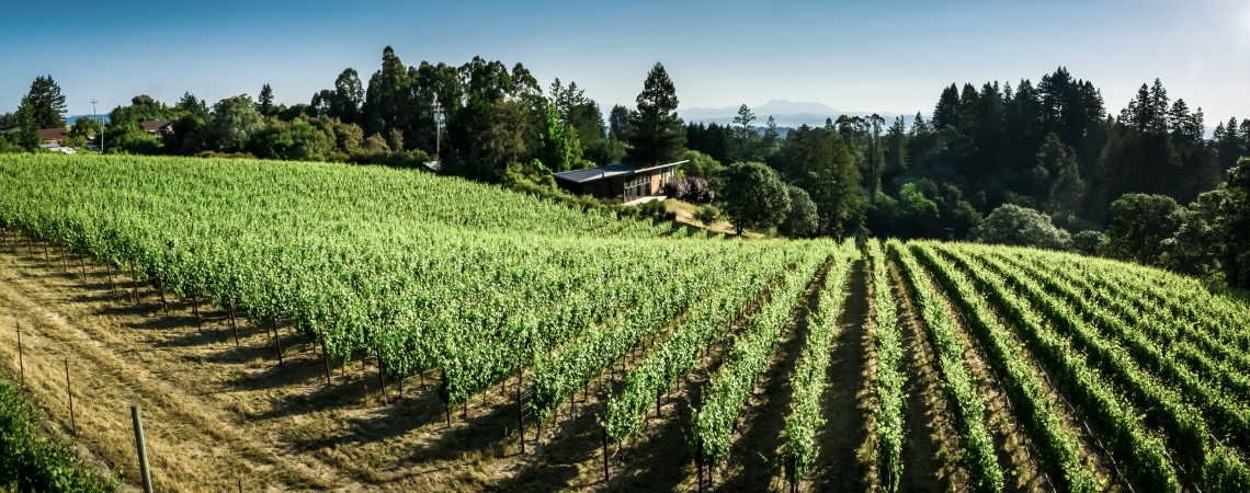 Sonoma Coast