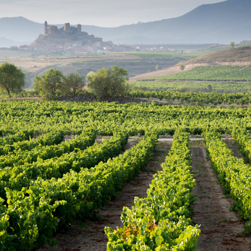Spanien Rioja