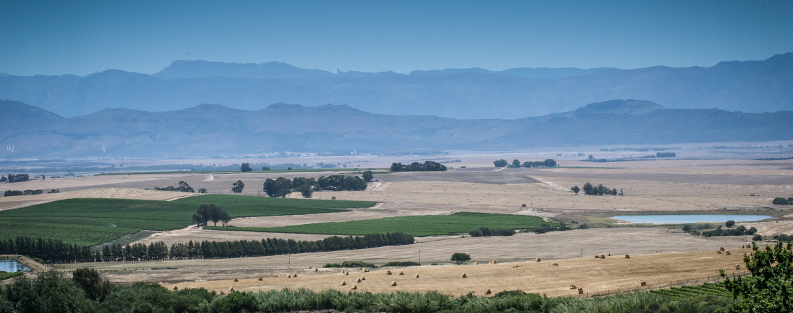 Swartland.jpg