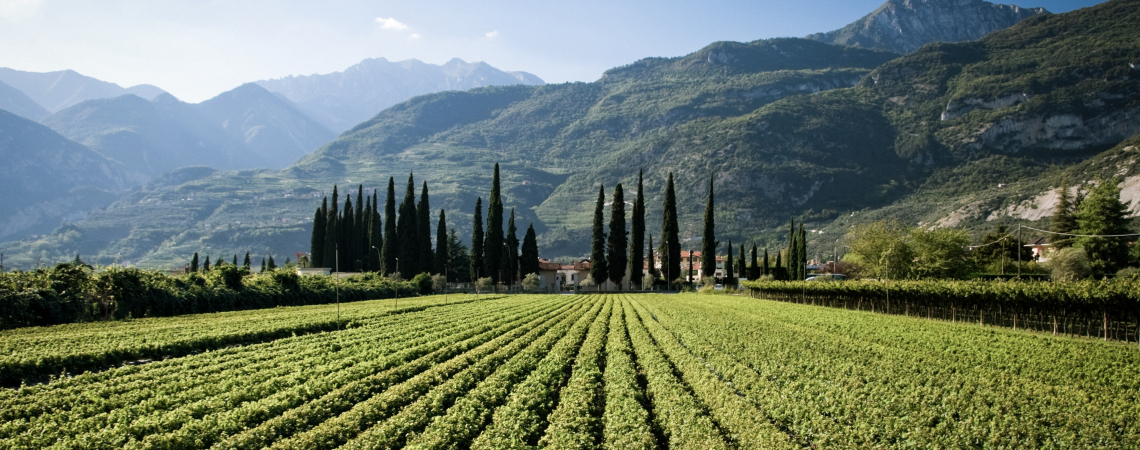 Trentino.jpg