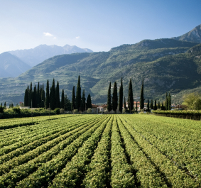 Trentino.jpg
