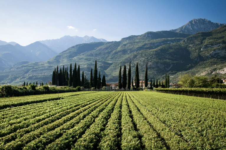 Trentino.jpg