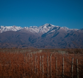 Valle de Uco
