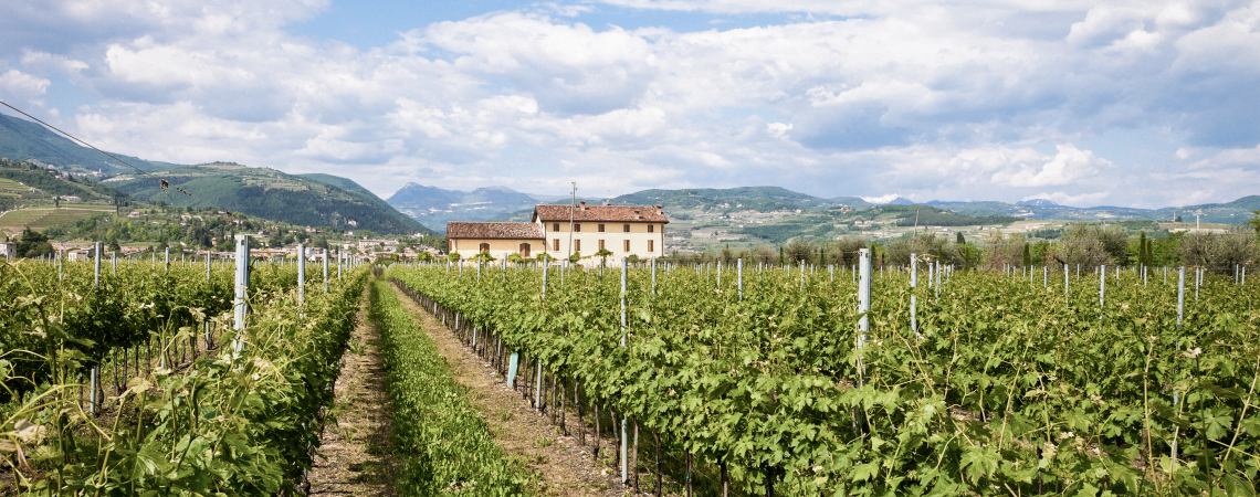 Valpolicella.jpg
