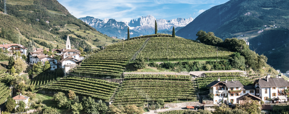 Vigneti Delle Dolomiti