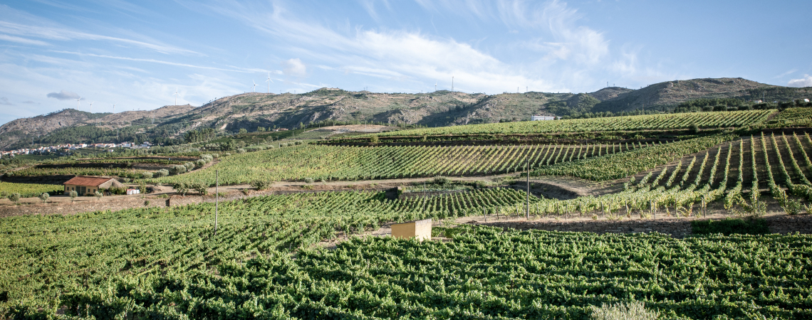 Vinho Verde