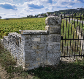 Volnay