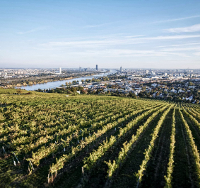 WienerLagen Golling Pfarrplatz
