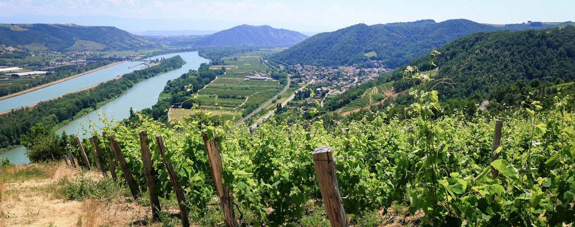 centre Loire header