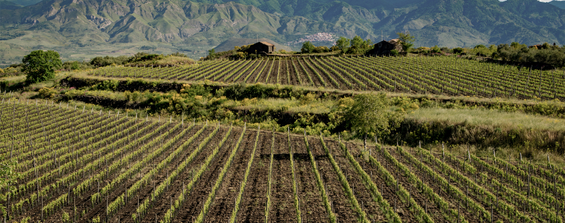 etna rosso