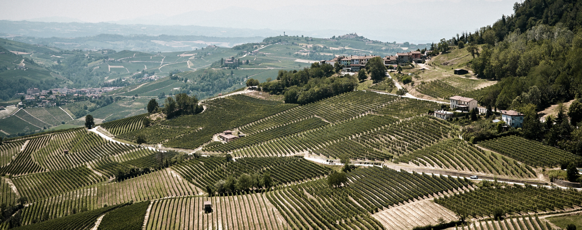 Langhe.jpg