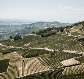Langhe.jpg