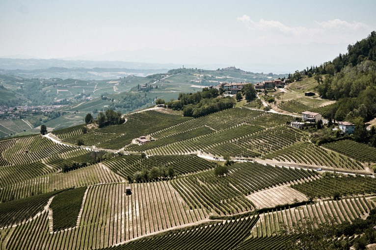 Hügelige Landschaft mit ausgedehnten Weinbergen und einigen verstreuten Häusern an Hängen.