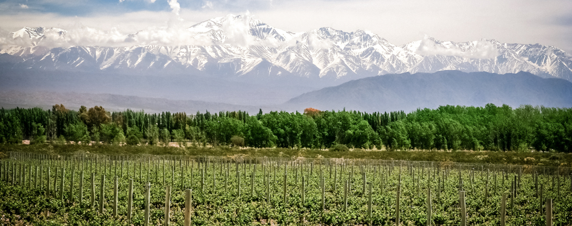 Mendoza.jpg