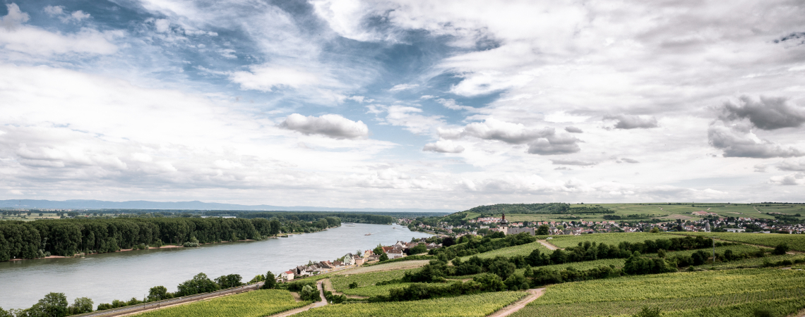 rheinhessen