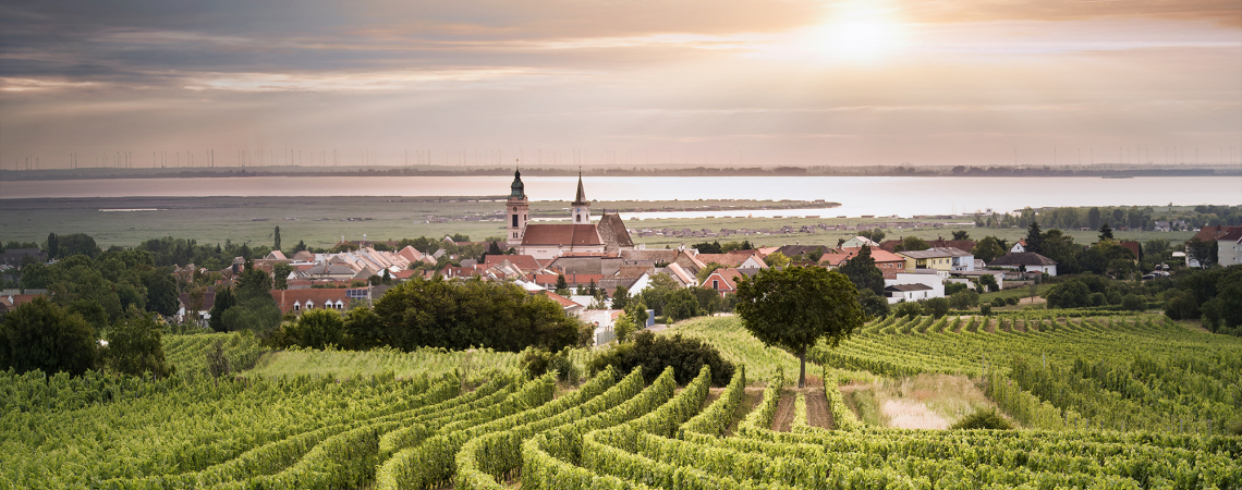 ried plachen rust leithaberg burgenland